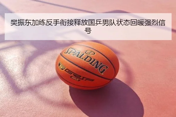 樊振东加练反手衔接释放国乒男队状态回暖强烈信号